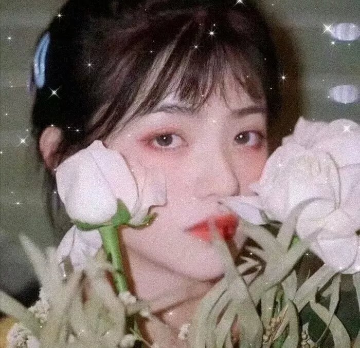 法医秦明